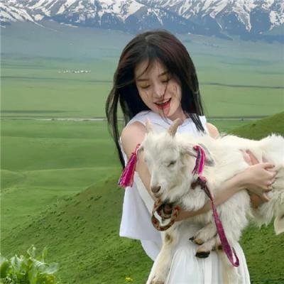 半山押运·重逢海报